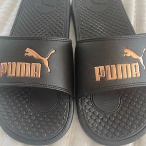 PUMA